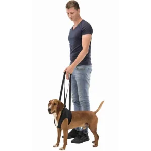 TRIXIE Aide à la marche– harnais de soutien – Outlet