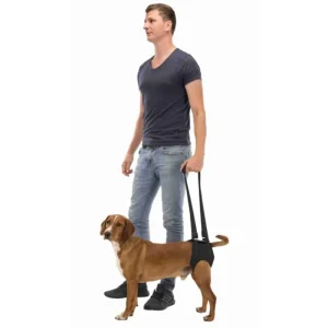 TRIXIE Aide à la marche– harnais de soutien – Outlet
