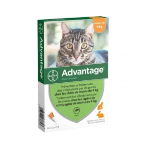 ADVANTIX Antiparasitaire Advantage 4 kg et moins Outlet