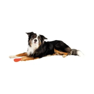 TRIXIE Bandages aux substances amères - Online