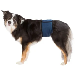 TRIXIE Bande de Protection lavable pour chiens mâles  – Best