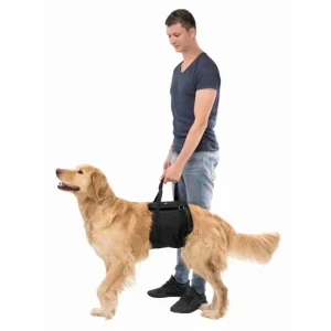TRIXIE Ceinture ventrale - Aide à Relever – harnais de soutien – Outlet