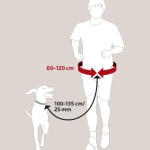 TRIXIE Ceinture ventrale avec laisse Sale