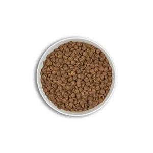 ERA Croquettes Millénium CHIOT Moyennes & Grandes Races - Poulet & Dinde Outlet
