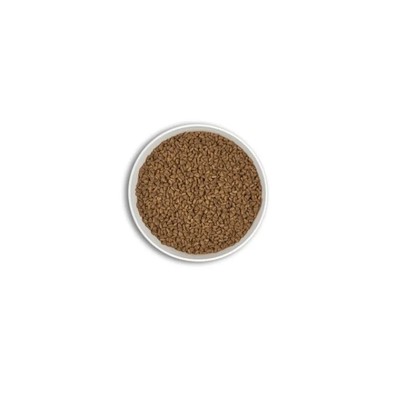 croquettes_era_millnium_c_3.webp ERA Croquettes Millénium CHIOT Petites Races - Poulet & Dinde Outlet