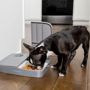 PETSAFE Distributeur automatique 2 repas Outlet
