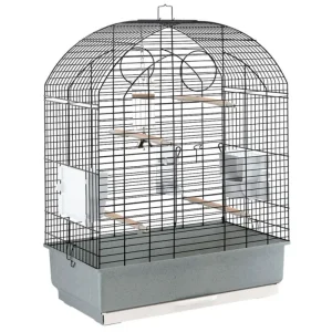 FERPLAST cage Viola Online