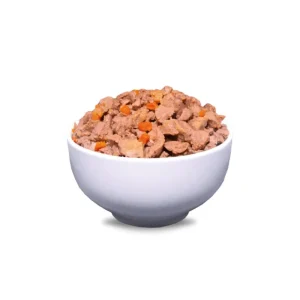 ERA Filets en gelée Sybarite pour Chats Adultes – Crevettes & Poulet Sale