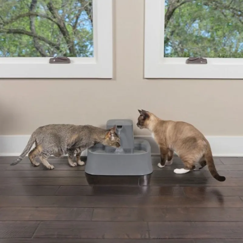 fontaine__eau_drinkwell_l_1.webp PETSAFE Fontaine à eau Drinkwell 7.5L Best