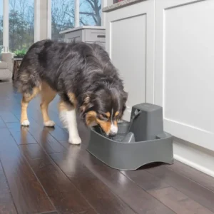 PETSAFE Fontaine à eau Drinkwell 7.5L Best