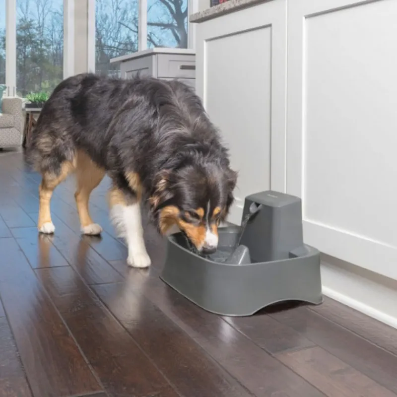 fontaine__eau_drinkwell_l_2.webp PETSAFE Fontaine à eau Drinkwell 7.5L Best