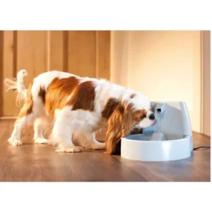 PETSAFE Fontaine à eau Drinkwell Original 1,5L New