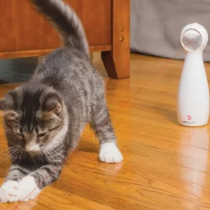 PETSAFE FroliCat Laser Bolt Discount