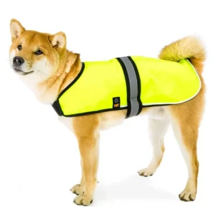 FERPLAST Gilet de sécurité Sale