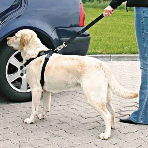 TRIXIE Harnais de sécurité pour voiture - Taille L Best