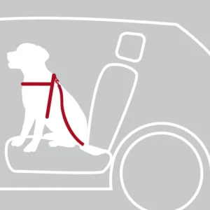 TRIXIE Harnais de sécurité pour voiture - Taille L Best