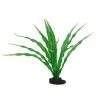 HOBBY Crinum Online