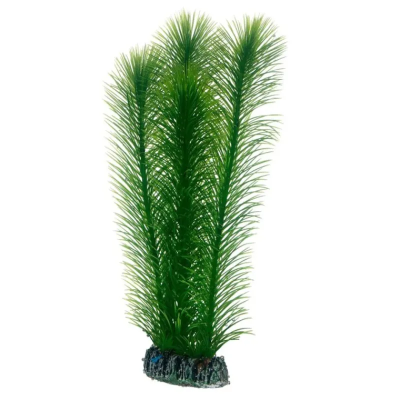 hobby_mayaca_0.webp HOBBY Mayaca Clearance