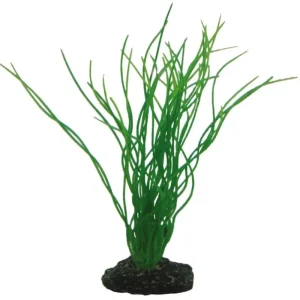 HOBBY Sagittaria Outlet