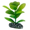 HOBBY Saururus New