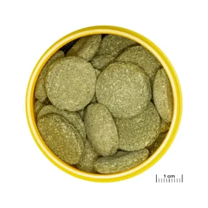 JBL ProNovo Pleco - Wafer XL Online