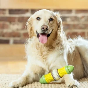 PETSAFE Jouet à friandises Cravin'Corncob Clearance