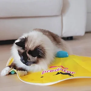 FERPLAST Jouet predator pour chat Discount