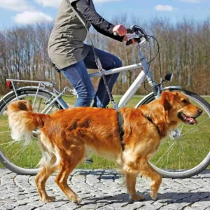 TRIXIE Laisse pour vélo et jogging Best