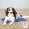 TRIXIE Matelas rafraîchissant pour chien XL New