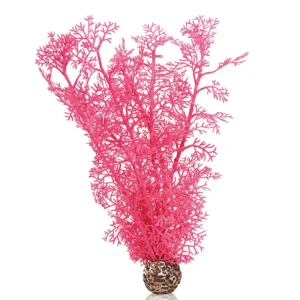 OASE Biorb Corail rose Sale