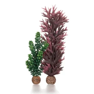 OASE Biorb Perles de mer & algues Best