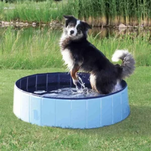 TRIXIE Piscine pour chien 70cm Online