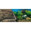 EUROPET Poster pour aquarium 120 cm New