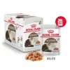 ROYAL CANIN AGEING 12+ Gelée - 12x85gr Discount