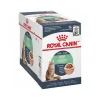 ROYAL CANIN DIGEST SENSITIVE en sauce 12x85Gr New