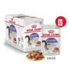 ROYAL CANIN STERILISED en sauce - 12x85gr Online