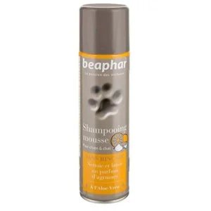 BEAPHAR Shampooing sans rinçage pour chien & chat  – Fashion