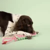 LAROY GROUP Twisting Tugger, jouet en TPE avec corde tressée et boucle - Coockoo Fashion