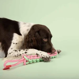 LAROY GROUP Twisting Tugger, jouet en TPE avec corde tressée et boucle - Coockoo Fashion