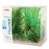 ZOLUX Plantkit Jalaya Online