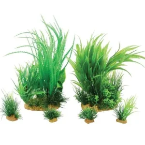 ZOLUX Plantkit Jalaya Online
